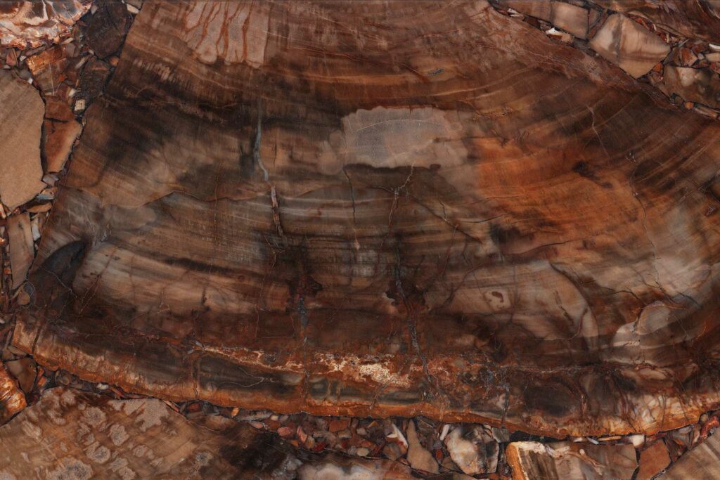 just naturstein brown petrified wood
